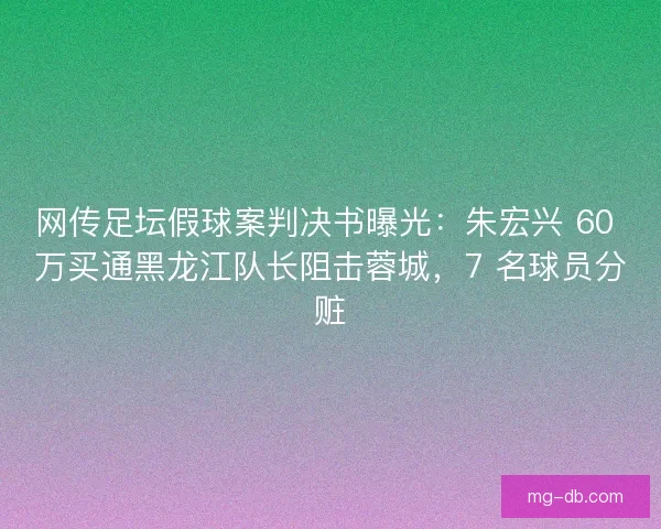 网传足坛假球案判决书曝光：朱宏兴 60 万买通黑龙江队长阻击蓉城，7 名球员分赃