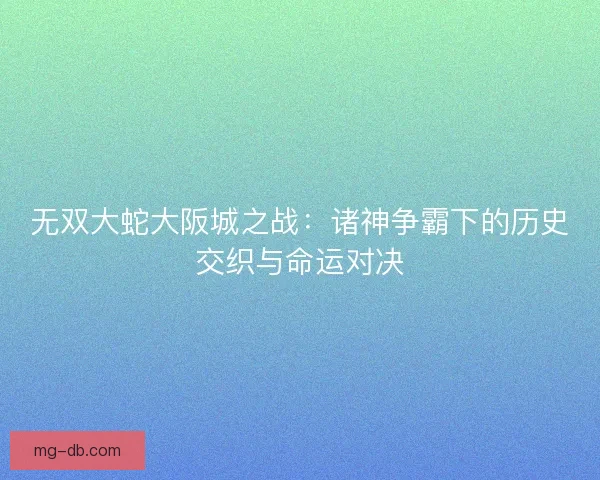 无双大蛇大阪城之战：诸神争霸下的历史交织与命运对决